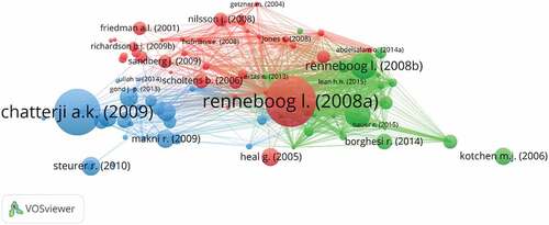 Figure 10. Bibliographic coupling of documents.