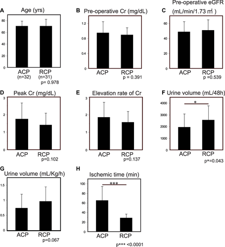 Figure 2 Influence of the cerebral perfusion methods. (A) Mean age of the patients who had undergone ACP or RCP. (B) Preoperative Cr levels. No significant difference was observed. (C) Preoperative eGFR. (D) Peak Cr levels during post-operative 48h. (E). Elevation rate of Cr. (F) Urine volume during post-operative 48. The patients treated with RCP showed more urine excretion than those with ACP (p*=0.043). (G) Urine excretion rate (mL/kg/min) during post-operative 48h. (H) Ischemic time during operation. Patients treated with ACP underwent significantly longer ischemia than patients with RCP. The cause is mentioned in Discussion.