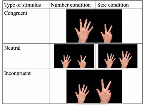 Figure 4. Examples of stimuli for ASL block.