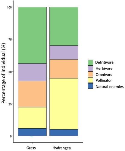 Figure 6. Percentage of arthropods based on ecological role in the crab apple orchards with different habitat management (Hydrangea intercropping and grass ground cover).