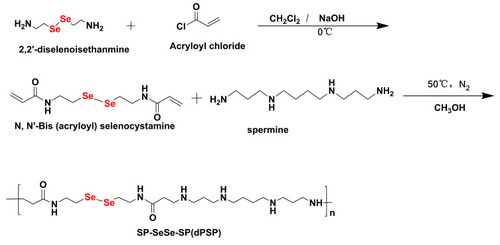 Figure 2 Synthesis of diselenide-containing poly(spermine)s (dPSPs).