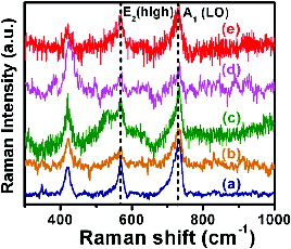 Figure 4. Raman spectra of Ga1−xMnxN nanorods. (a) x = 0.00, (b) x = 0.02, (c) x = 0.04, (d) x = 0.06 and (e) x = 0.08, respectively.