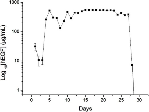 Figure 9 In vitro elution profiles of hEGF from the nanofibrous films.Abbreviation: hEGF, human epidermal growth factor.