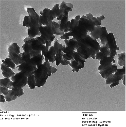 Figure 4. TEM results of nickel-doped barium nanohexaferrites.