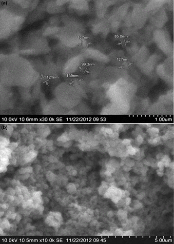 Figure 1. (a) SEM image of water soluble chitosan to potassium pyrophosphate (1:1) ratio. (b) SEM image of water soluble chitosan to potassium pyrophosphate (1:2) ratio.