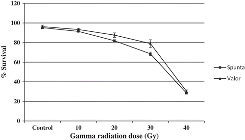 Figure 3. Gamma radiation impact on potato survival percentage of Spunta and Valor varieties.