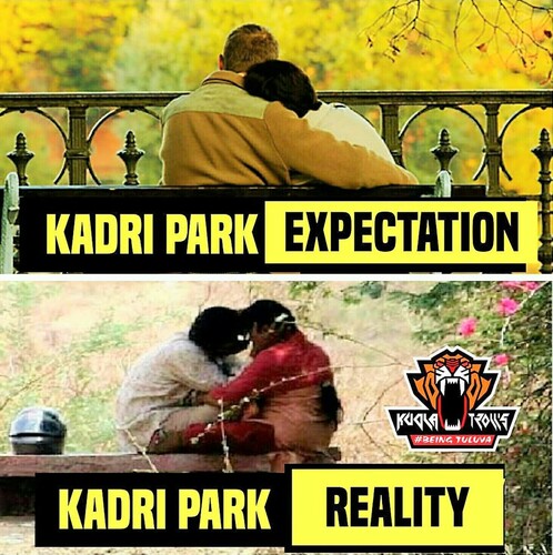 Figure 3 Kadri Park—the largest park in the city. One place for young couples to meet. Moral policing has taken place here. Internet meme by Kudla Trolls (@kudlatrolls on Instagram).