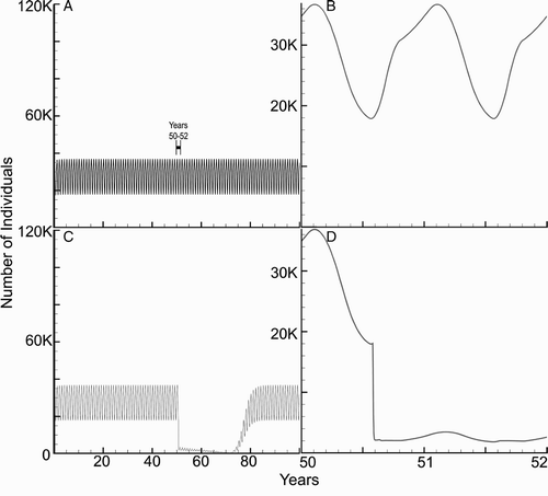 Figure 4. Baseline simulation of total number of vectors (V(t)) in the village (four humans, one dog, one chicken per home in a village of 100 homes) over 100 years. (a) A stable model vector population. (b) Seasonality of the vectors, years 50–52. The vector population reaches its maximum in fall and the minimum in late winter. The vector population fluctuations are due to growth and mortality (shown in Figure 2(b)). (c) Baseline simulation of total number of vectors (V(t)) in the village with spraying during years 50–71. (d) Seasonality of the vectors, years 50–52 during the initiation of spraying in year 50 during spring.