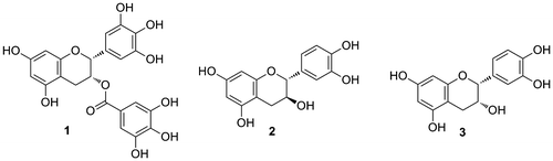 Fig. 1. Structure of the easily available flavan-3-ols.