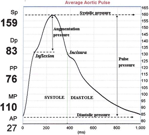 Figure 1 Annotated central aortic pulse wave derived from pulse wave analysis(PWA) using the SphygmoCor system.