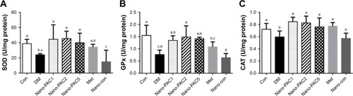 Figure 5 Activity of (A) SOD, (B) GPx, and (C) CAT in testis of STZ-induced diabetic rats fed different doses of Nano-PAC after 42 days.Notes: Data are shown as mean±SD (n=6 rats/group). The bars with different letters (a–d) represent significant (P<0.05) difference as analyzed by the Duncan’s multiple range test.Abbreviations: SOD, superoxide dismutase; GPx, glutathione peroxidase; CAT, catalase; STZ, streptozotocin; Nano-PAC, PAC encapsulated in silica–chitosan nanoparticles; Con, control; DM, diabetes mellitus; Nano-PAC1, diabetes+4 mg/kg per day Nano-PAC; Nano-PAC2, diabetes+8 mg/kg per day Nano-PAC; Nano-PAC5, diabetes+20 mg/kg per day Nano-PAC; Met, diabetes+300 mg/kg per day metformin; Nano-con, diabetes+20 mg/kg per day silica–chitosan nanoparticles; PAC, petri dish-cultured Antrodia cinnamomea.