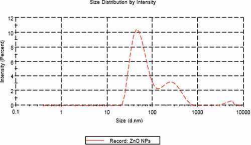 Figure 2. Zeta size of ZnO NPs.