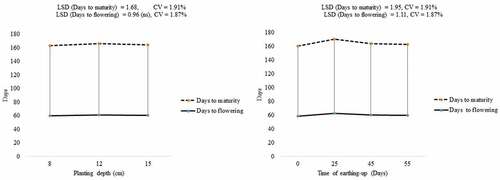 Figure 2. Effect of planting depth and times of earthing up on days to flowering and maturity of potato.