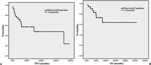Figure 1. Kaplan–Meier estimate of progression-free survival and overall survival for patients.