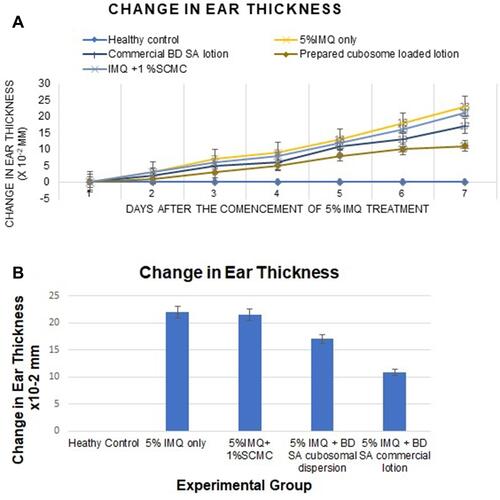 Figure 5 (A) The change in ear thickness over the 7 days of the experimental model. (B) The change in ear thickness in all groups on day 7.