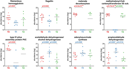 Figure 5. Selection of Firmicutes-specific functions with differential abundance between the timepoints analyzed. Each patient is marked with a different shape; each timepoint is marked with a different color. Q-values (FDR) obtained upon paired t-test comparison between timepoints are shown.