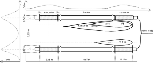 Figure 1. Schematic top view of the principal setup with Delmeco electrodes with (lower electrode) and without discs (upper electrode) at both ends of the conductor. The dashed lines indicate the size of each part. The horizontal dotted black graph shows the course of the field strength (V/m) measured at the dotted gray line 55 mm from the electrodes. The vertical dotted black graph shows the approximate exponential course of the field strength measured perpendicular to the center of the conductor. Localization of spinal injuries is indicated with Xs.