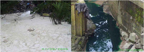 Figure 11. Discharge of effluent from soap- and paint-producing factories, which are possible sources of water pollution in shallow wells and streams (Photos taken by the authors in September 2010).