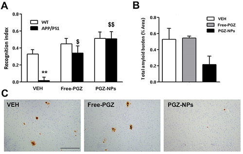 Figure 7 In vivo evaluation of PGZ-NPs.