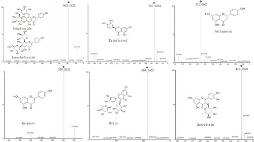 Figure 3. Ion mass spectrum of individual flavonoid.