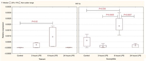 Figure 2 Expression of Hif-1α in the liver of rats tolerant and susceptible to hypoxia after 3, 6 and 24 hours of LPS administration (Me; 25%–75%).Notes: In all groups there were 5 observations except the tolerant group after 24 hours of LPS injection, in which were 8. Statistical significance of differences (P-value) is determined by the Kruskal–Wallis method.Abbreviation: LPS, lipopolysaccharide.