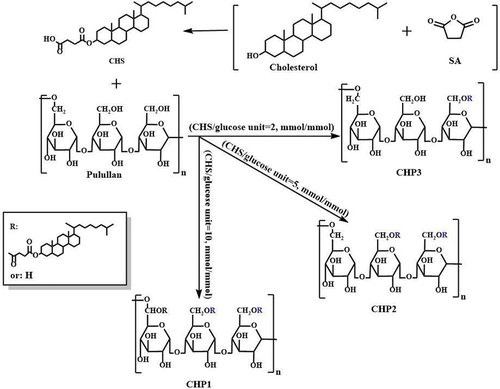 Figure 1. Synthesis route of CHP1, CHP2 and CHP3.