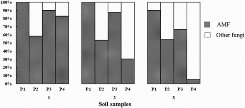 Figure 2. The proportion of AMF sequences obtained from primer set 1, 2, 3 and 4 (P1, P2, P3 and P4) in three soil samples.