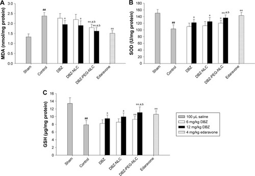 Figure 4 Treatment with DBZ-PEG-NLC improves oxidative stress in the brain of a mouse model of ischemia/reperfusion-related injury.Notes: (A) The levels of MDA in the brains; (B) the levels of SOD in the brains; (C) the levels of GSH in the brain. Data are expressed as the mean ± SD from each group (n=10 per group) for three separate experiments. ##p<0.01 vs the sham-operated group. *p<0.05, **p<0.01 vs the control group. ap<0.05 vs the DBZ group and bp<0.05 vs the DBZ-NLC group.Abbreviations: DBZ, tanshinol borneol ester; DBZ-NLC, DBZ nanostructured lipid carriers; DBZ-PEG-NLC, polyethylene glycol (PEG)-modified and DBZ-loaded nanostructured lipid carriers; GSH, glutathione; MDA, malondialdehyde; SOD, superoxide dismutase.