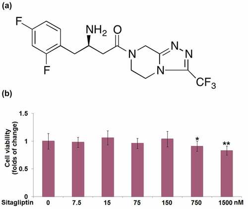 Figure 1. The cytotoxicity of Sitagliptin in human renal glomerular endothelial cells (HrGECs). Cells were stimulated with Sitagliptin at the concentrations of 0, 7.5, 15, 75, 150, 750, 1500 nM for 24 hours. (a) Molecular structure of Sitagliptin; (b) Cell viability was measured using MTT assay (*, **P < 0.05, 0.01 vs. vehicle group).