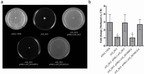 Figure 7. (a) Representative image of the surface-associated motility of the indicated A. baumannii strains. (b) The fold-change in the number of viable bacteria (CFU) of the indicated strains, based on the counts in capillaries containing chemoattractant (2% methanol) divided by those in control capillaries containing only CB. Error bars represent the SDs of the means. *P < 0.05 in a comparison with the A. baumannii parental strain (ATCC 17978) as determined in at least nine independent experiments