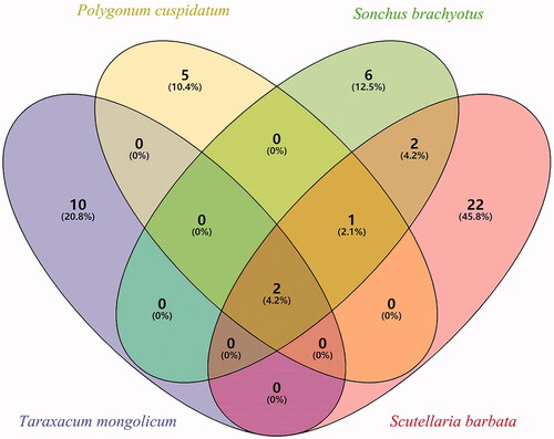 Figure 1. Venn diagram of the components of RYNM.