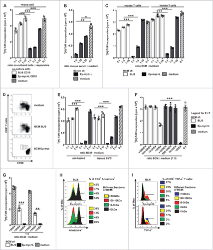 Figure 5. Lymphoma B cells induce mouse and human CD8+ T cell dysfunction by secreting a soluble compound smaller than 1kDa. (A) MACS-purified CD8+ T cells from naive BL/6 mice (responders) were activated with plate-bound αCD3 mAb (2 µg/ml) in the presence of titrated numbers of MACS-purified CD19+ B cells from naïve BL/6 or Eµ-myc+L mice for 72 h in transwell tissue culture plates in triplicate cultures and 3[H]–TdR incorporation was determined after 72 h of culture. 1 representative out of 3 experiments is shown. (B) BL/6 CD8+ T cells were stimulated with αCD3 mAb as described in (A) in the presence and absence of titrated amounts of serum from Eµ-myc+L mice (n = 2 different sera) and 3[H]–TdR incorporation was determined after 72 h of culture. (C) Mouse and human naïve CD8+ T cells were stimulated with αCD3 mAb as described in (A) or OKT-3 (2 µg/ml) respectively, in the presence and absence of titrated amounts of B cell conditioned medium (BCM), derived from BL/6 or Eµ-myc+L B cell cultures. 3[H]–TdR incorporation was determined after 72 h of culture. One representative out of 3 experiments is shown. (D) CD8+ T cells were labeled with CFSE and CFSE dilution was measured after stimulation of T cells with αCD3 mAb in the presence and absence of indicated BCMs at a dilution of 1:3 for 72 h. 1 representative out of 2 experiments is shown. (E-G) CD8+ T cells were cultured as described in (A) in the presence and absence of titrated amounts of (E) untouched or heat-inactivated BCM and (F, G) size fractionated BCM from BL/6 or Eµ-myc+L B cell cultures and 3[H]–TdR incorporation was measured. 1 representative out of 6 experiments is shown. (H) Naïve BL/6 cells were cultured in the presence or absence of size fractionated BCM together with αCD3 mAb and viability was determined by Annexin-V staining after 24 h of culture. Apoptosis rate of CD8+ T cells in medium was 41% (data not shown). 1 representative out of 2 experiments is shown. (I) Naïve BL/6 cells were cultured in the presence or absence of size fractionated BCM and αCD3 mAb for 72 h. Then, IFN-γ and TNF-α production was measured by flow-cytometry after additional 5 h of in vitro stimulation with PMA/Ionomycin. In medium, TNF-α production of CD8+ T cells was 29%, IFN-γ production was 18% (data not shown). Data are displayed as mean ± SEM. Statistics: Student's t test.*p < 0.05, **p < 0.01, ***p < 0.0001. See also Supplementary Figure S5.