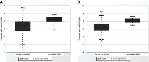 Figure 7 Validation with data available on the expression level of miR-195 and cancer data sets from TCGA database. (A) Esophageal squamous cell carcinoma. (B) Hepatocellular carcinoma. **P<0.01; ***P<0.001.Abbreviation: TCGA, The Cancer Genome Atlas.