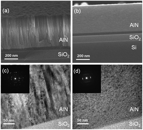 Figure 8. Cross-sectional SEM (a,b) and TEM (c,d) images of the AlN films deposited by reactive sputtering (a,c) and non-reactive sputtering (b,d). The insets show electron diffraction patterns.