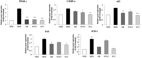 Figure 5. Effects of Solidago virgaurea var. gigantea 10% ethanol extract (SV10E) on mRNA expression of adipogenic genes in epididymal white adipose tissue. Results are presented as mean ± SE (n = 3). Asterisks indicate significant differences from the HFD group (*p < 0.05, **p < 0.01, ***p < 0.001). NFD, normal-fat diet control; HFD, high-fat diet control; GR, HFD + 1% Garcinia cambogia extract of 60% (–)-hydroxycitric acid; SV0.5, HFD + 0.5% SV10E; SV2, HFD + 2% SV10E.