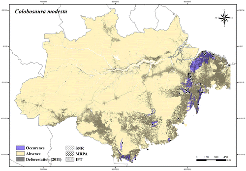 Figure 41. Occurrence area and records of Colobosaura modesta in the Brazilian Amazonia, showing the overlap with protected and deforested areas.