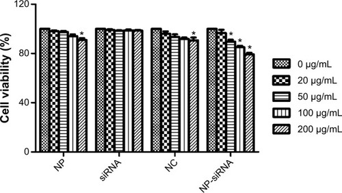 Figure 5 In vitro cytotoxicity of different concentrations of nanoparticles after incubation of CNE-2 cells for 48 hours.Notes: Data are given as the means ± SD (n=3). *Significant (P<0.05) increase of cytotoxicity on CNE-2 cells compared with the control group.Abbreviations: HIF-1α, hypoxia-inducible factor-1α; NP, blank TPGS-b-(PCL-ran-PGA) nanoparticles; NC, scrambled siRNA-loaded TPGS-b-(PCL-ran-PGA) nanoparticles; NP-siRNA, siRNA targeting HIF-1α-loaded TPGS-b-(PCL-ran-PGA) nanoparticles; SD, standard deviation; siRNA, small interfering ribonucleic acid; TPGS-b-(PCL-ran-PGA), D-α-tocopheryl polyethylene glycol 1000 succinate-b-poly(ε-caprolactone-ran-glycolide).