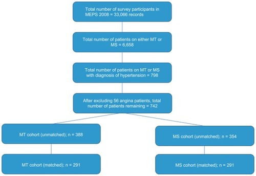 Figure 1 Patient selection criteria of MT and MS cohorts.