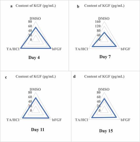 Figure 6. Results of KGF content in granulation tissue.