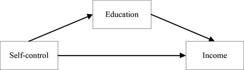 Figure 4. Mediating effect of education on the impact of self-control on income.Source: created by authors.