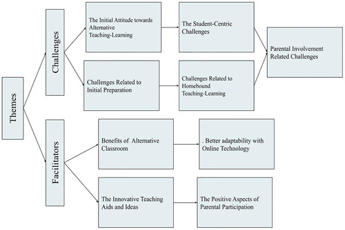 Figure 2. Facilitators and challenges identified by the special educator..