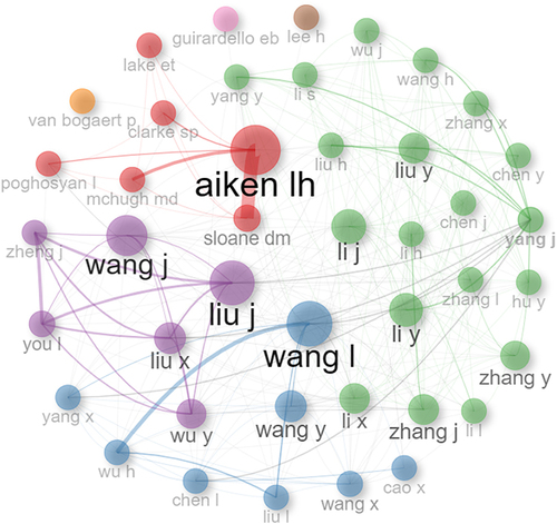 Figure 4 Collaboration between authors.