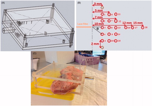Figure 1. (A) 3D cad of the PMMA mask; (B) schematic representation of the top view of the PMMA mask. The holes designed to insert the thermocouples during the experiments and their distances to the hole used to insert the applicator are shown; (C) picture of the pancreas after the insertion of the thermocouples and the laser applicator thanks to the PMMA mask.