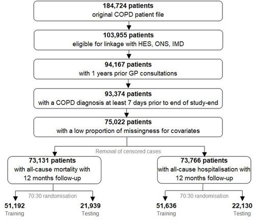 Figure 3 Flow chart of patient inclusion and exclusion. Medcode diagnosesCitation16 were applied to the CPRD population to identify those with COPD during the time interval (n = 184,724). The filtering process of the patient data where cases missing essential links to HES, ONS and IMD were excluded, as were those without a COPD diagnosis or less than a year of GP consultation history. Finally, patients missing three or more key variables of FEV1pp, MRC, haemoglobin and eosinophil were removed. The lower part of the figure shows data censoring of patients that had <12 months follow-up and no outcome of hospitalisation or mortality, and randomisation prior to modelling.