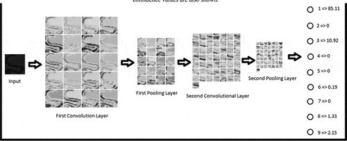 Figure 7. Activation values of different layers for an incorrectly classified sample image representing the numeral 9 belonging to Dataset 1. The output layer confidence values are also shown