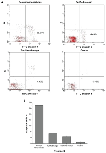 Figure 6 Realgar treatment promoted apoptosis. C6 cells were treated with realgar nanoparticles, purified realgar, traditional realgar, or PBS for 24 hours, stained with Annexin V-FITC/PI, and analyzed by flow cytometry (A). Realgar treatment increased the percentage of apoptotic cells (B).Note: Results represent means ± SD of three independent experiments.