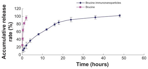 Figure 3 Release curve of brucine immuno-nanoparticles in vitro. Brucine was completely released within 2 hours. Brucine immuno-nanoparticles were very stable in the medium with an accumulative release rate of over 80% in 24 hours and 100% in 48 hours.