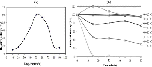 Figure 3 (a) Temperature-activity of A. mellea β-glucosidase. (b) Thermal-stability profiles of A. mellea β-glucosidase. (Color figure available online.)