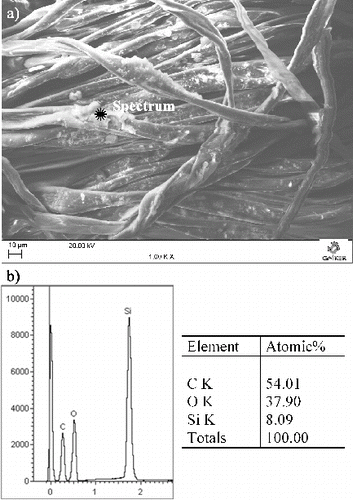 Figure 6. Cellulosic fabric: (a) SEM image; and (b) qualitative and quantitative demonstration by EDX analysis of covalent grafting of silica microspheres.