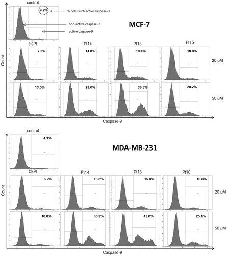 Figure 10. Flow cytometric analysis of populations MCF-7 and MDA-MB-231 breast cancer cells treated for 24 h with 20 μM and 50 μM of Pt14–Pt16 and cisplatin for active caspase-9. Mean percentage values from three independent experiments (n = 3) done in duplicate are presented.